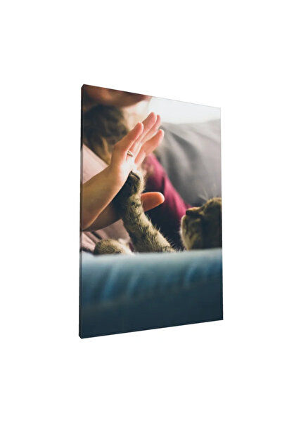 PozaTablou Pânză: Întâlnire amicală între om și pisică 50x70 cm