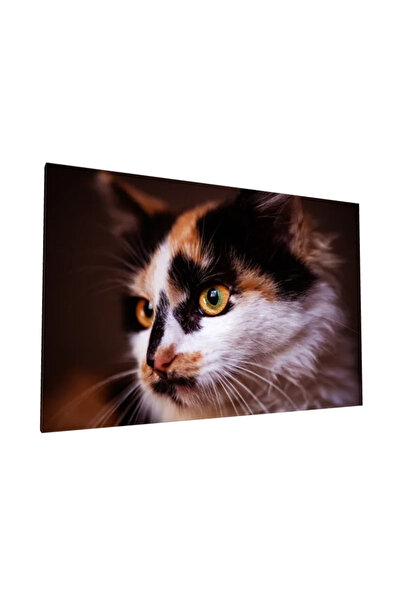 PozaTablou Pictură pe pânză: Portret de pisică cu ochi pătrunzători 100x70 cm