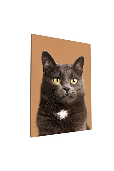PozaTablou Pictură pe pânză: Portret de pisică pe fundal maro 70x100 cm