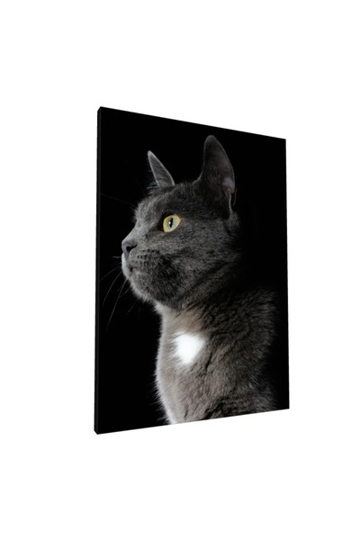 PozaTablou Pânză: Profil lateral de pisică pe fundal negru 80x110 cm