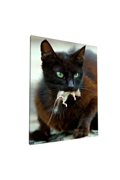 PozaTablou Pictură pe pânză: Pisică neagră cu pradă - 70x90 cm