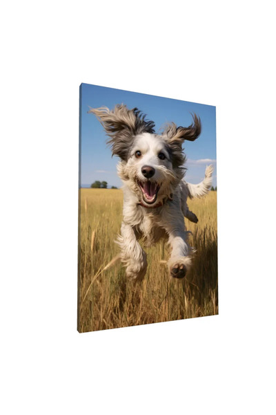 PozaTablou Pictură pe pânză: Câine fericit în câmp de grâu 20x30 cm