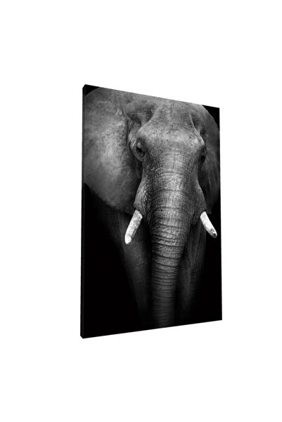 PozaTablou Pictură pe pânză: Portret detaliat de elefant alb-negru 70x100 cm