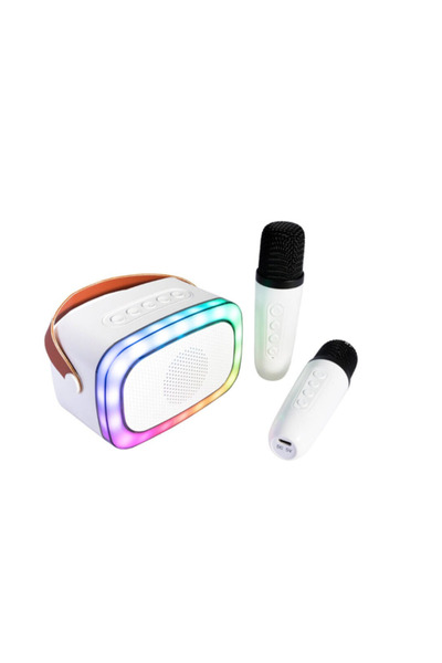 karaoke Boxă portabilă cu 2 microfoane, BT/USB/TWS