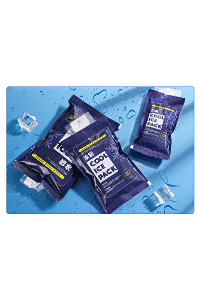 OEM Set of 10 travel ice packs, reusable, 200 ml, PE, for food, medical, lunch box