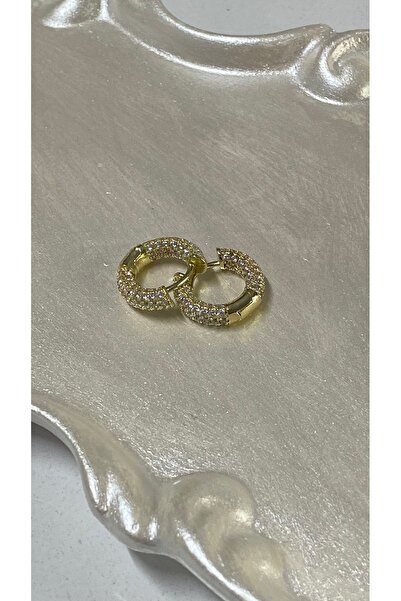 nill Kadın yuvarlak zirkon taş detaylı gold renk minimal çelik halka küpe