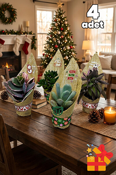 Toptan Kaktüs Yılbaşı Jüt Süslemeli 4’lü Sukulent Set