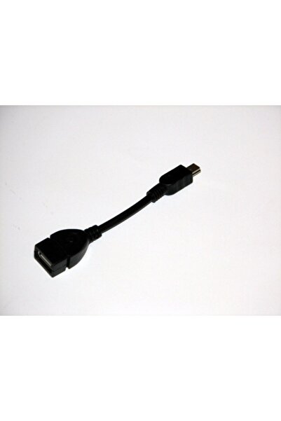 G Golden Case OTG Cable for Tablet/PC - Mini USB Male to USB Female