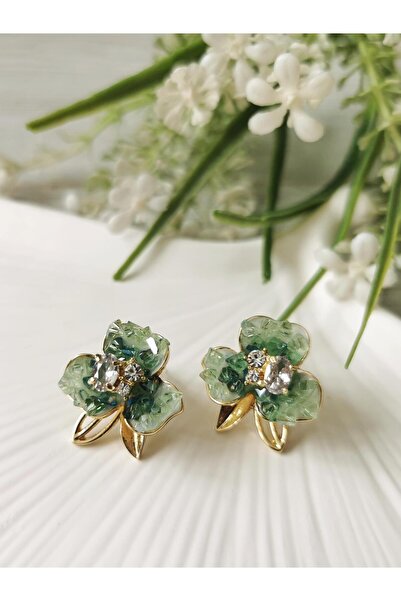 Halley Concept Steel Earrings with Crystal Stones