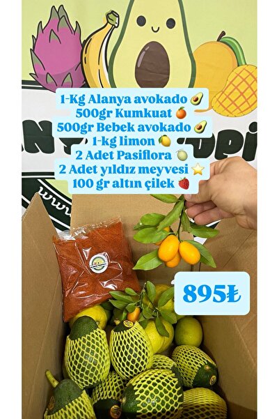Alanyatropikal FIRSAT PAKETİ (895₺)