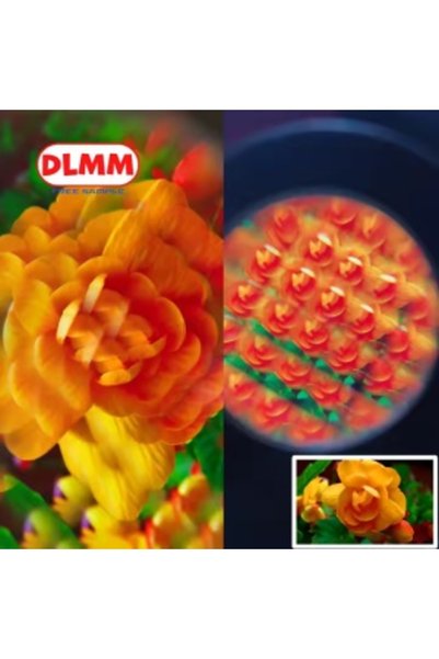 OEM Lupă din lemn, formă de buburuza cu desene