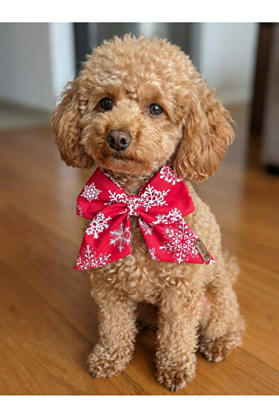 Patiset Kırmızı Ekose Köpek Fiyonk Papyon Kurdele - Tasma Üstü Pet Aksesuar