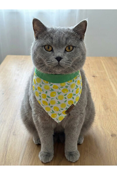 Patiset منديل للقطط باللون الأخضر - منديل للقطط بنمط الليمون الصغير، إكسسوارا...