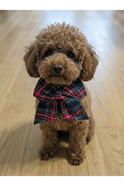 Patiset Navy Blue Plaid Dog Bow Tie Ribbon - Pet Accessory for Collar