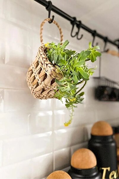 HAKİCİ HOME Dekoratif Çok Amaçlı Doğal El Yapımı Hasır Saksı Sepet / 10x10cm