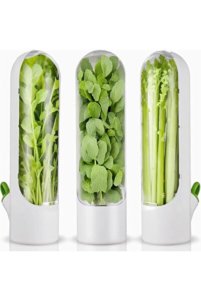Choice 3PCS Refrigerator Herb Fresh Coriander Container, Herb, Parsley, Aspar...