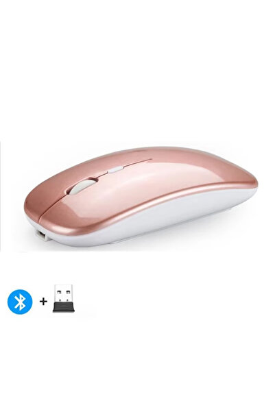 Choice ماوس كمبيوتر لاسلكي جديد قابل لإعادة الشحن من روز 2025، متوافق مع تقنية البلوتوث 2.4 جيجاهرتز، وضعان، مع N