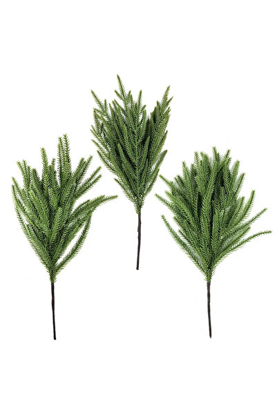 Choice 3 قطع من أغصان نورفولك لعيد الميلاد، سيقان نورفولك من خشب الصنوبر الوا...