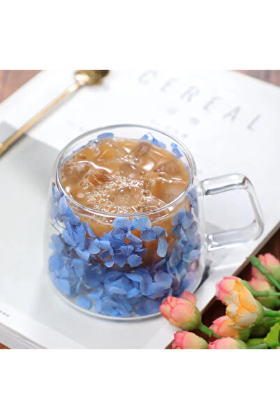 Choice4 كوب زجاجي شفاف عالي البورسليكات مزدوج الجدار أزرق 200 مل مع زهور مجففة وكوب شاي وكوب قهوة