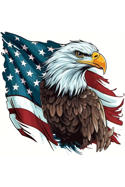 Choice ملصق مصد سيارة متعدد الاستخدامات بعلم أمريكي ونسر مقاس 18×18 سم - وطني...