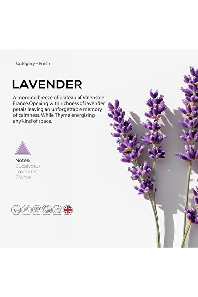 DR SCENT زيت عطري برائحة نسيم الفرح