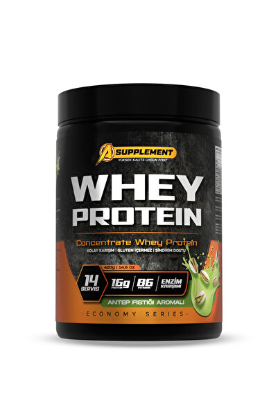 vingpro Whey Protein Ekonomi Serisi 420 gr– Antep fıstığı Aromalı | 14 Servis