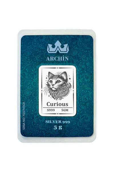 archin Saf Gümüşten Üretilmiş Sevimli Kedi Temalı Yıl Dönümü Hediyesine Özel ...