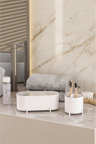 Beckbonny Zebra Set Makeup Brush and Cosmetic Organizer with Transparent Cover Hygienic Organizer Set of 2