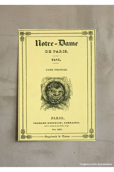 VreauPoster A4 Poster Victor Hugo Notre-Dame de Paris, The Hunchback 1904, Pa...