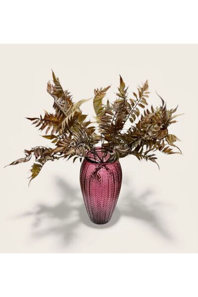 sedoshhomevision Bordo Balıksırtı Model Cam Vazo – 25 cm