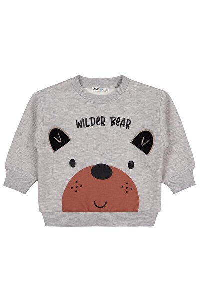Civil Boys Bear Print-Embroidered 2-5 Years Old Sweatshirt - Gray 2-3 Years Old