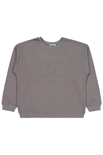 Civil Boys Bear Embroidered 10-13 Years Old Sweatshirt - Gray 12-13 Years Old