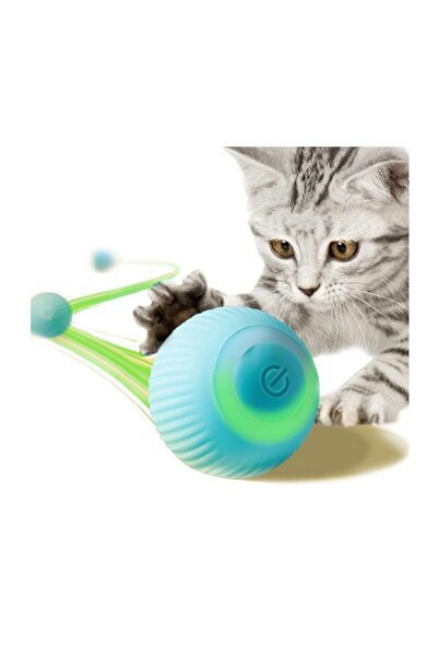 All4Get Minge Interactiva pisici