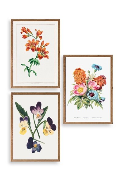 CT STONES Flower Triple Wooden Framed Painting