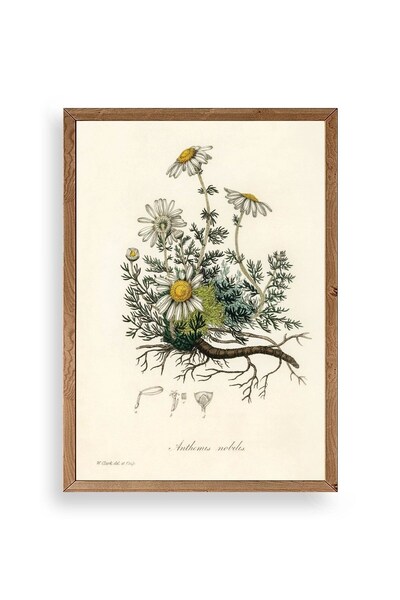 CT STONES Daisy Wooden Framed Table