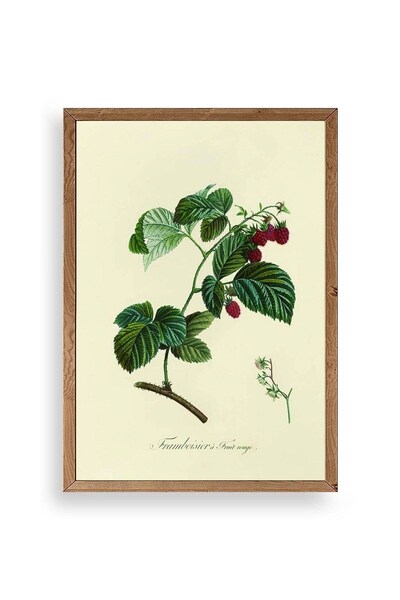 CT STONES Leaf Wooden Framed Table