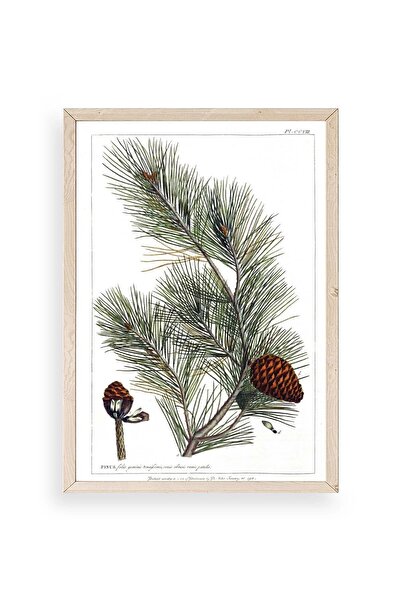 CT STONES Pine Wood Framed Table