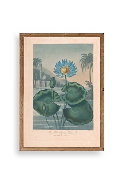 CT STONES Joseph Constantine Wooden Framed Painting