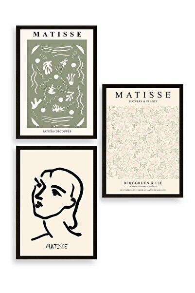 CT STONES Matisse Triple Wooden Framed Painting