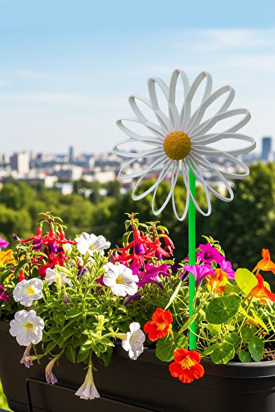 Flipped Papatya Rüzgar Gülü 25 Cm