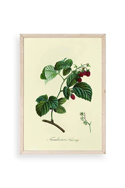 CT STONES Leaf Wooden Framed Table