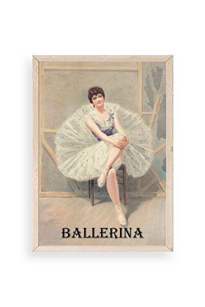 CT STONES Ballerina Wooden Framed Painting