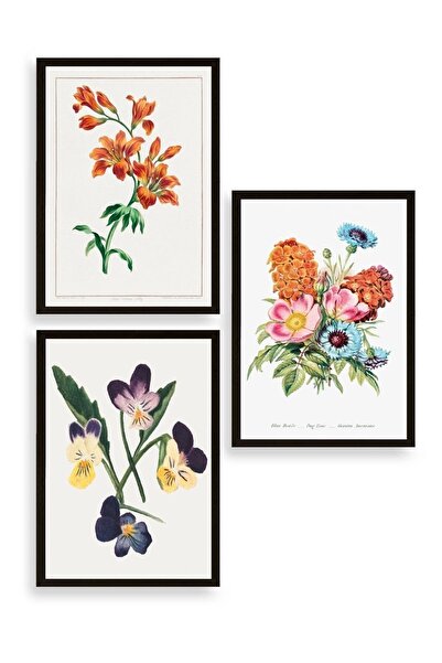 CT STONES Flower Triple Wooden Framed Painting