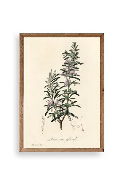 CT STONES Leaf Wooden Framed Table