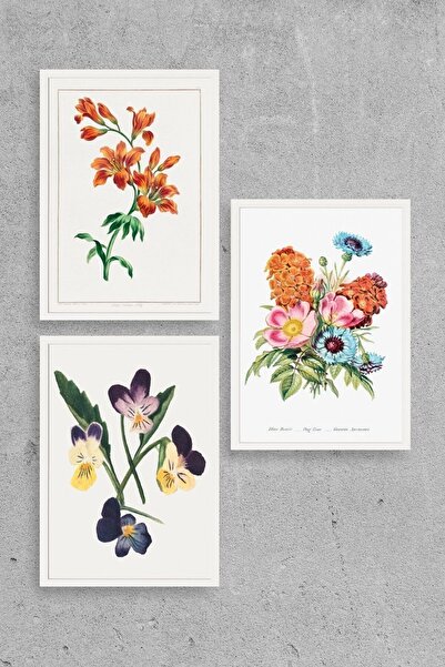 Twin Store لوحة زهرة ثلاثية مؤطرة بالخشب