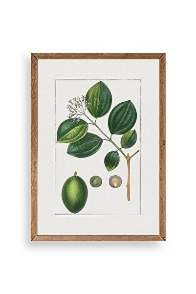 CT STONES لوحة روزاليند ويلر بإطار خشبي