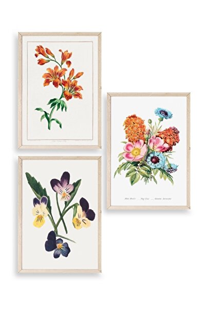 CT STONES Flower Triple Wooden Framed Painting