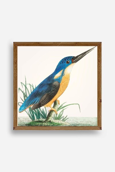 Twin Store لوحة على شكل طائر بإطار خشبي