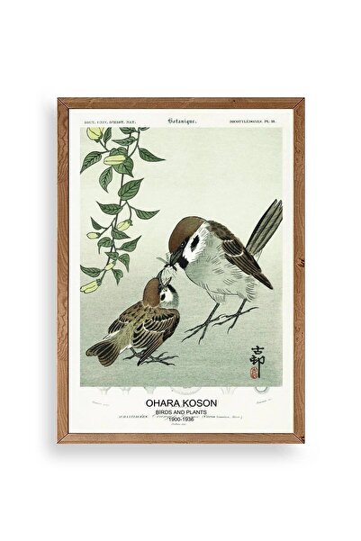 CT STONES Birds Wooden Framed Painting