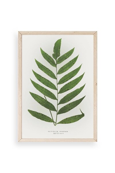 CT STONES Leaf Wooden Framed Table